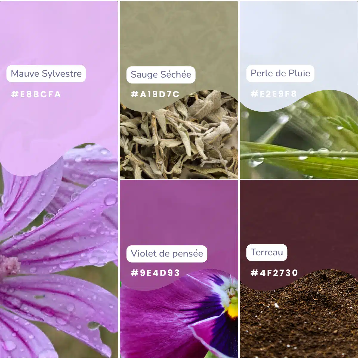 printemps sous la pluie Mai 2026 2 - Méwi WebDesign
